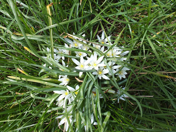 12/05/2012 - Güney Marmara Bölge Toplantısı