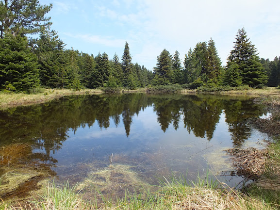 12/05/2012 - Güney Marmara Bölge Toplantısı